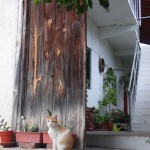 KALOPANAGIOTIS-1