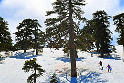 Excursions to the Surrounding Area