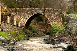 The Venetian Bridge